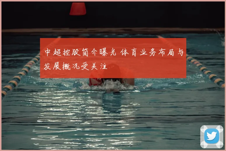 中超控股简介曝光 体育业务布局与发展概况受关注