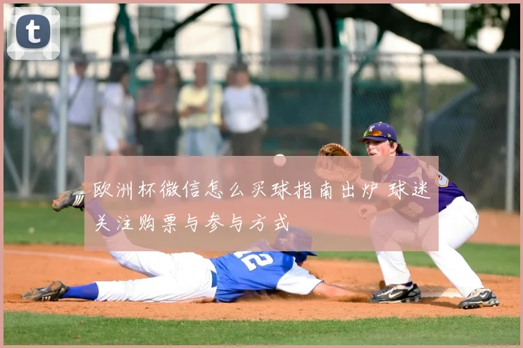 欧洲杯微信怎么买球指南出炉 球迷关注购票与参与方式